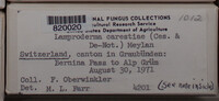 Image Associated With the Occurence